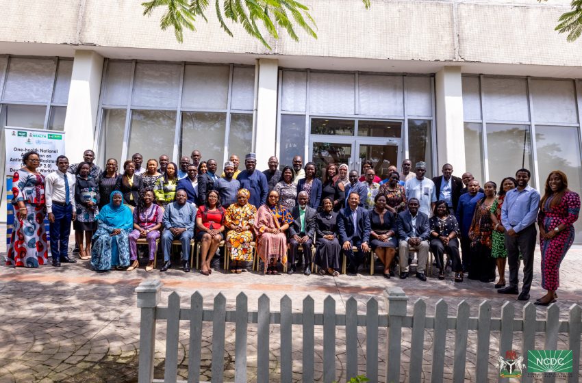 Developing the Nigeria One Health National Action Plan on Antimicrobial Resistance (2.0)